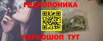 apvp Краснодар
