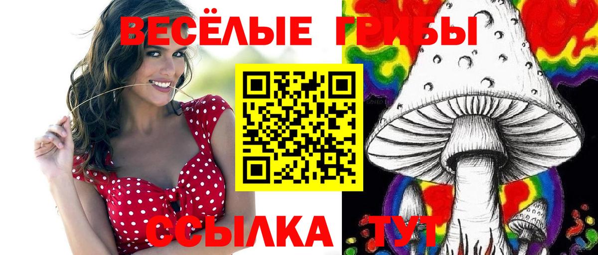 Галлюциногенные грибы Psilocybine cubensis  Вход с VPN  Галлюциногенные грибы мицелий  Александров 